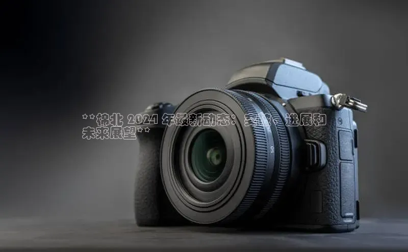 意昂4代理云创智行**棉北 2024 年最新动态：突破、进展和
未来展望**