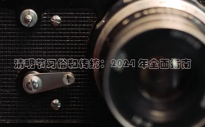 意昂4百度网盘企业版清明节习俗和传统：2024 年全面指南