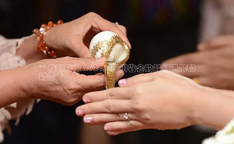 意昂体育4招商顺丰**成都新闻 2024：四川省会的最新进展和
动态**