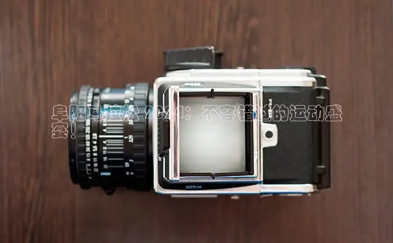 EON4官网度小满理财阜阳马拉松 2024：不容错过的运动盛
宴！