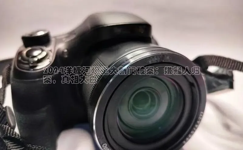 EON体育4百度 H52024洋塘河坝重大新闻破案：嫌疑人归
案，真相大白