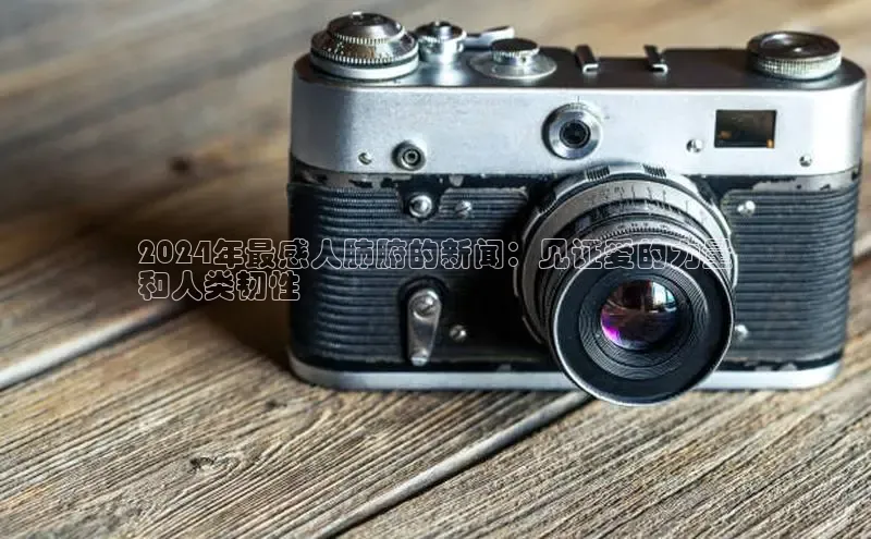 意昂4网易2024年最感人肺腑的新闻：见证爱的力量
和人类韧性