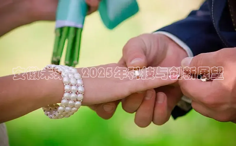 安徽未来：2025年科技与创新展望