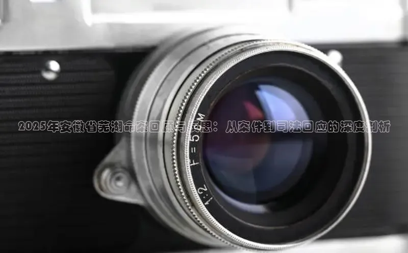 2025年安徽省芜湖命案回顾与反思：从案件到司法回应的深度剖析