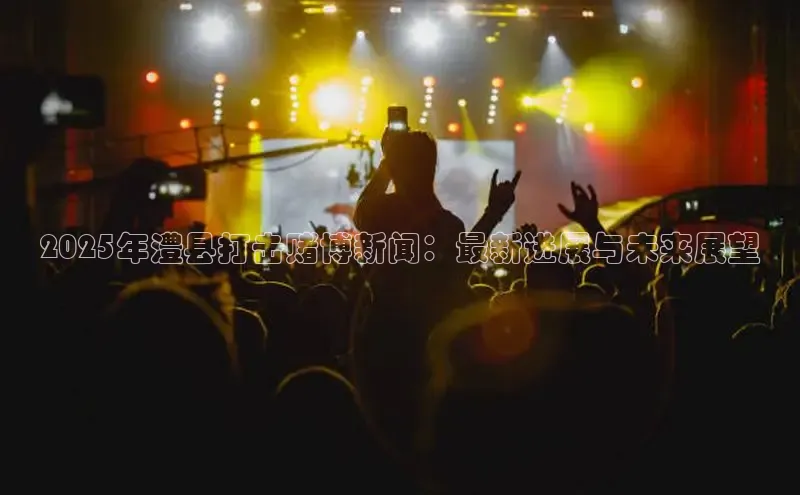 2025年澧县打击赌博新闻：最新进展与未来展望