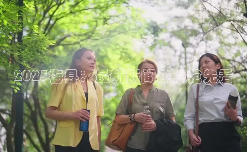 意昂官网入口登录