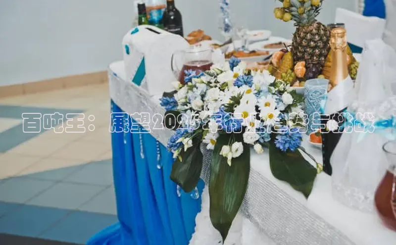 百吨王：展望2025年行业趋势与挑战