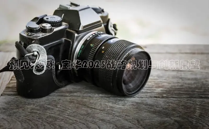 预见未来：宝华2025战略规划与创新展望