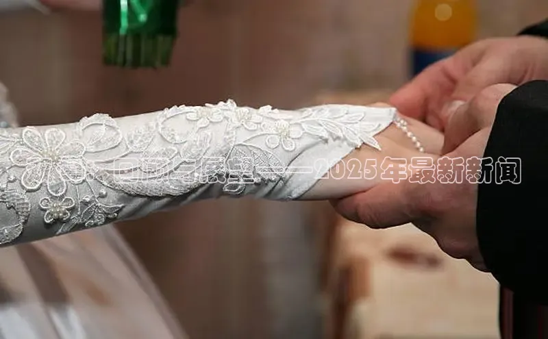 双甸：回顾与展望——2025年最新新闻