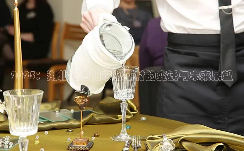 2025：湖北省枣阳市舒庙村的变迁与未来展望