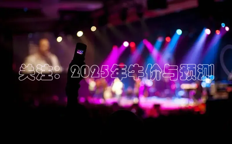 关注：2025年牛价与预测